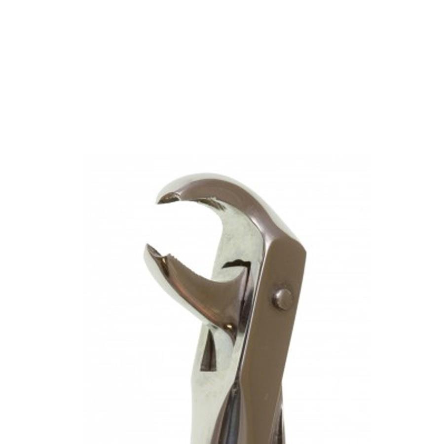Perfection Plus Lower Forceps No.161 - DMI Dental Consumables Ireland - Next Day Delivery