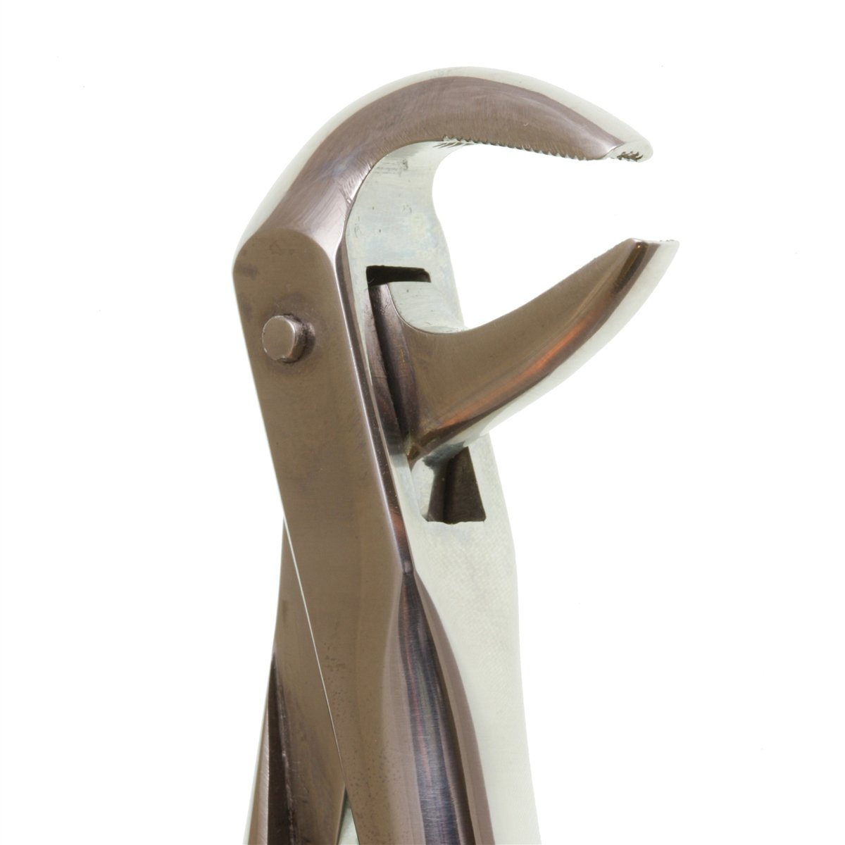 Perfection Plus Lower Forceps No.74 - DMI Dental Consumables Ireland - Next Day Delivery