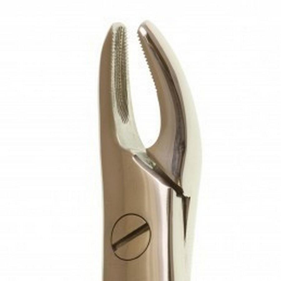 Perfection Plus Upper Forceps No.76 - DMI Dental Consumables Ireland - Next Day Delivery
